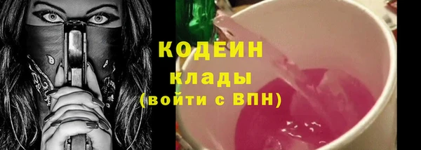 дмт Нягань