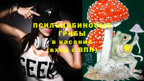дмт Нягань