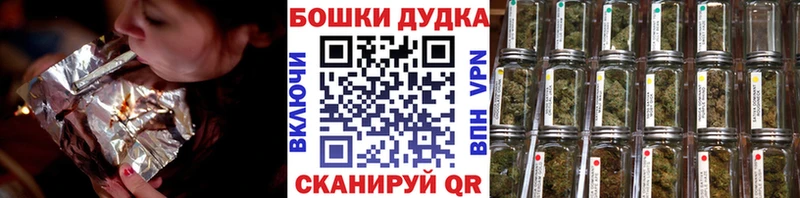 MEGA как войти  наркота  Опочка  Бошки марихуана семена 